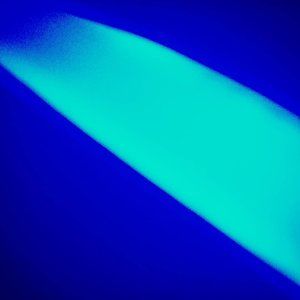 Meet your Posher, Braedyn